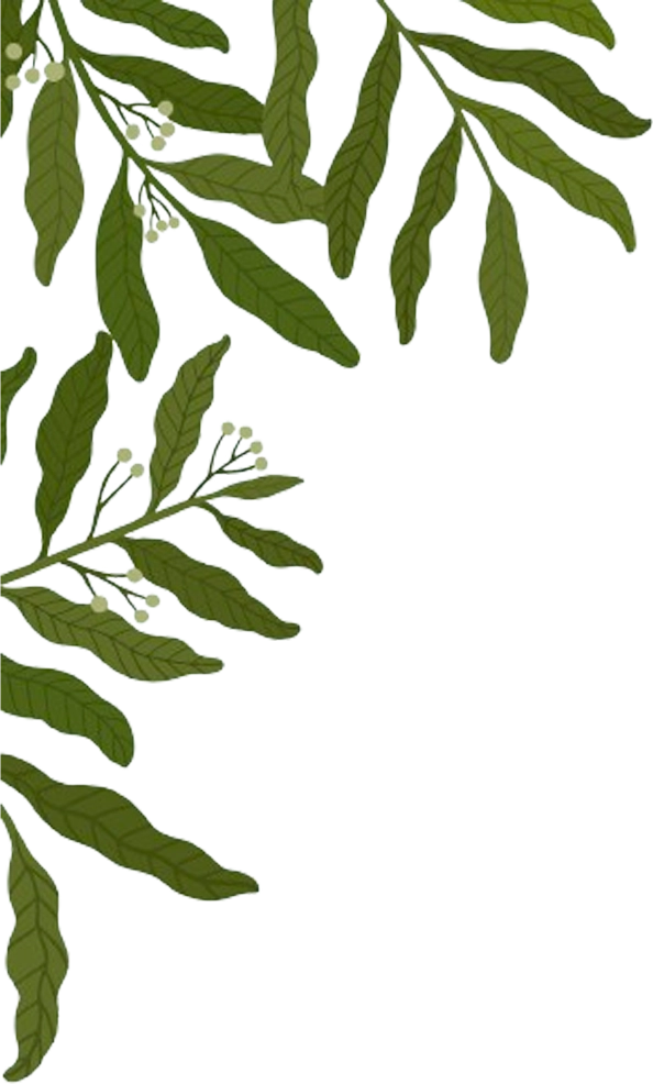 leaf-lt
